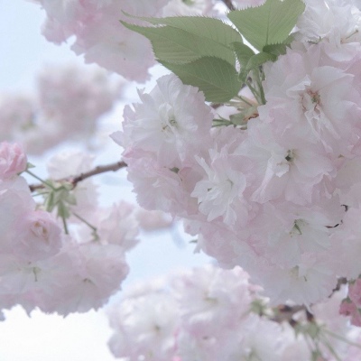 Furry绘画光影灵感兽圈群